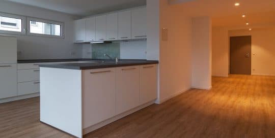 Vaihingen Innenarchitektur Küche mit Wohnzimmer
